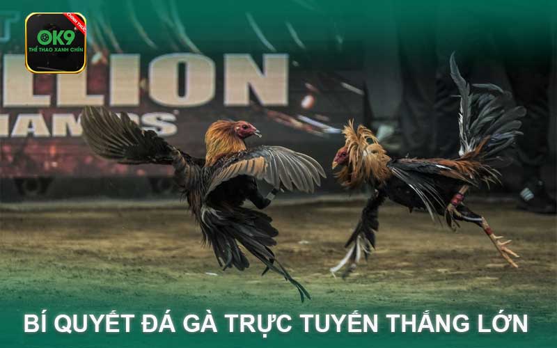 Bí Quyết đá gà trực tuyến Thắng Lớn