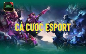 cá cược esports