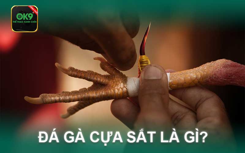 đá gà cựa sắt là gì?