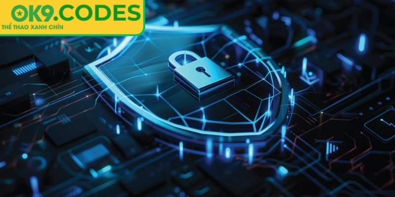 Cách OK9 sử dụng thông tin người dùng